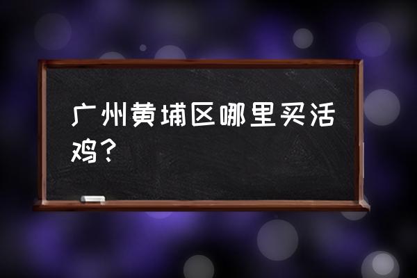 知道哪儿卖清远鸡吗 广州黄埔区哪里买活鸡？