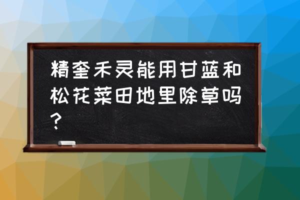 精喹禾灵除草剂对甘蓝有防害吗 精奎禾灵能用甘蓝和松花菜田地里除草吗？