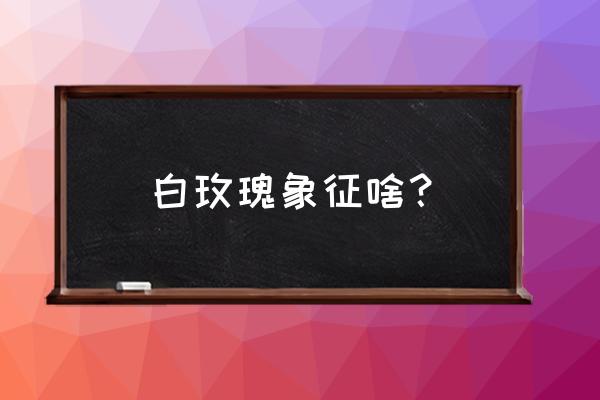 白色恋人玫瑰代表什么 白玫瑰象征啥？