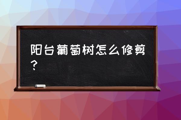 盆栽葡萄枝条怎么剪 阳台葡萄树怎么修剪？