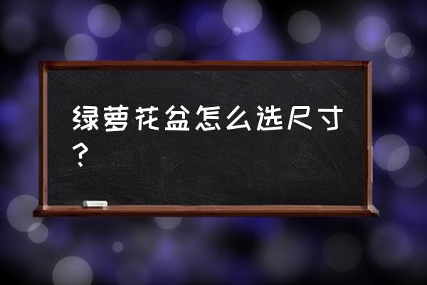 绿萝的花盆多大合适 绿萝花盆怎么选尺寸？