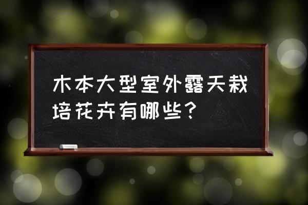 请教外露台种什么花草 木本大型室外露天栽培花卉有哪些？