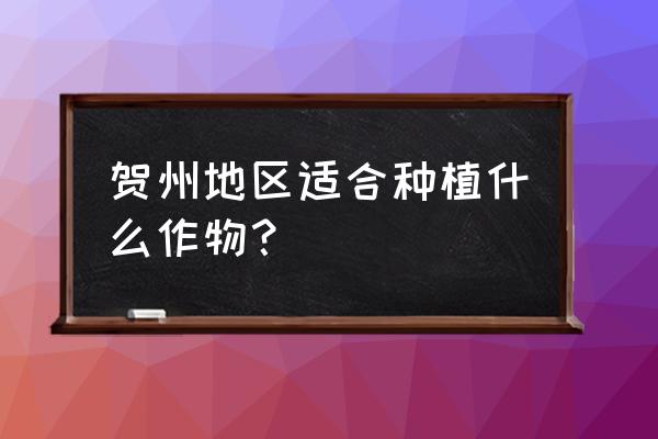 广西贺州适合种植哪种水果 贺州地区适合种植什么作物？