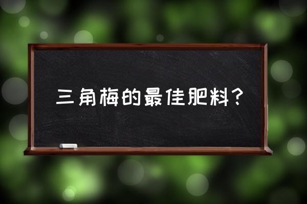 三角梅放什么肥料长得更红 三角梅的最佳肥料？