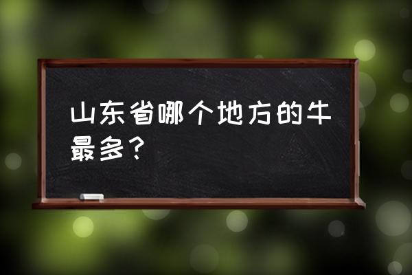 山东省济宁市梁山有养牛吗 山东省哪个地方的牛最多？