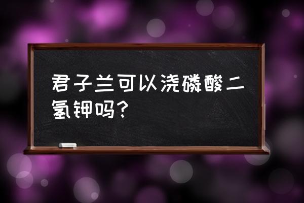 君子兰可以用磷酸二氢钾吗 君子兰可以浇磷酸二氢钾吗？