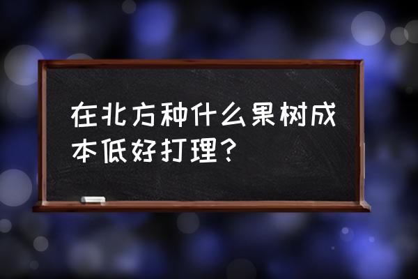 北方地区种植哪种果树投资小 在北方种什么果树成本低好打理？