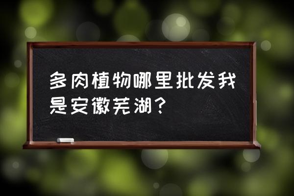 多肉植物哪有卖 多肉植物哪里批发我是安徽芜湖？