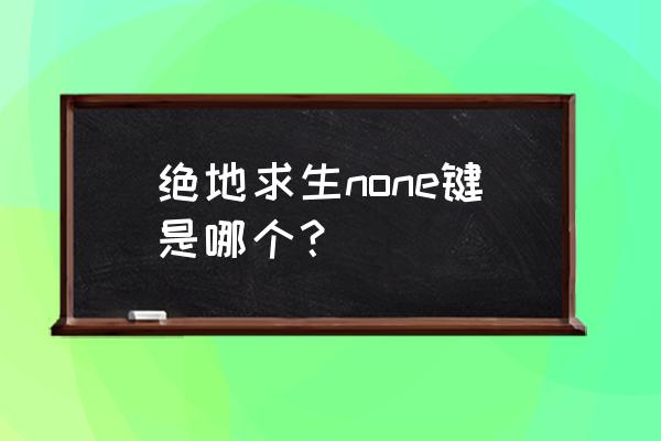 绝地求生怎么添加文字 绝地求生none键是哪个？