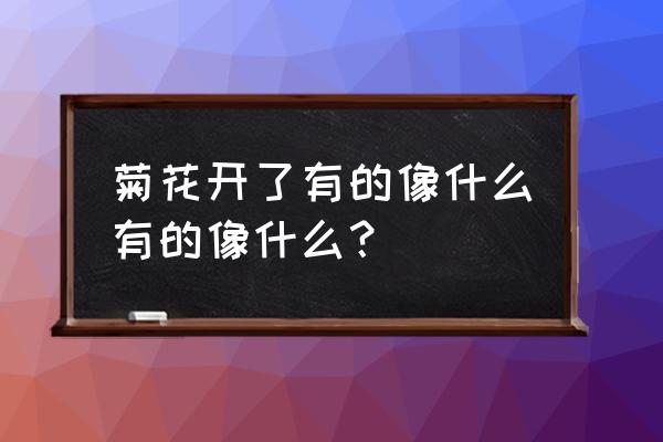 菊花盛开的时候像什么 菊花开了有的像什么有的像什么？