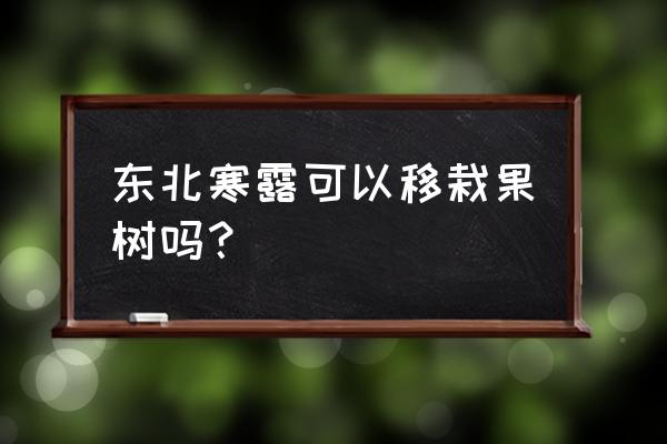 东北的果树什么时间移植 东北寒露可以移栽果树吗？