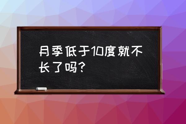 灌木月季几度不生长 月季低于10度就不长了吗？