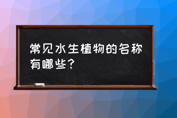 常见的水生植物有哪些? 常见水生植物的名称有哪些？