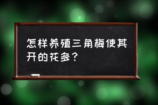 三角梅怎样养殖开花不断 怎样养殖三角梅使其开的花多？