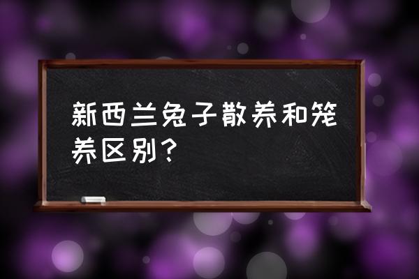 湖北新西兰兔子怎么养殖的吗 新西兰兔子散养和笼养区别？