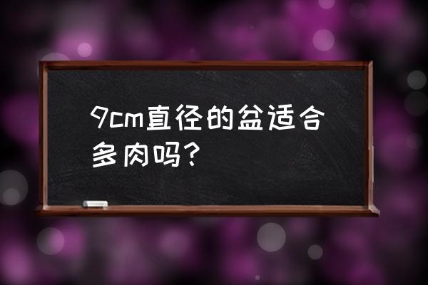 养多肉的花盆深度多少为宜 9cm直径的盆适合多肉吗？