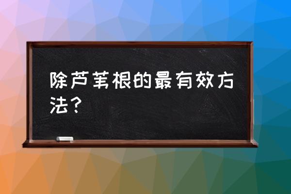 草甘膦点芦苇需要加水吗 除芦苇根的最有效方法？