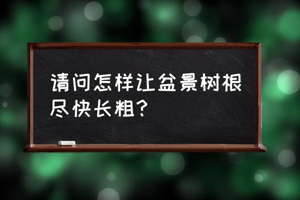 怎么让树桩盆景树枝快速生长增粗 请问怎样让盆景树根尽快长粗？