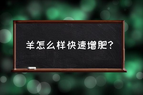 养羊人怎么快速育肥肉羊增质提膘 羊怎么样快速增肥？