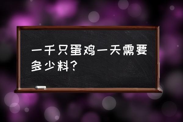 圈养蛋鸡需要多少饲料 一千只蛋鸡一天需要多少料？