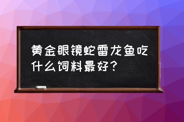 黄金眼镜蛇雷龙能喂饲料吗 黄金眼镜蛇雷龙鱼吃什么饲料最好？