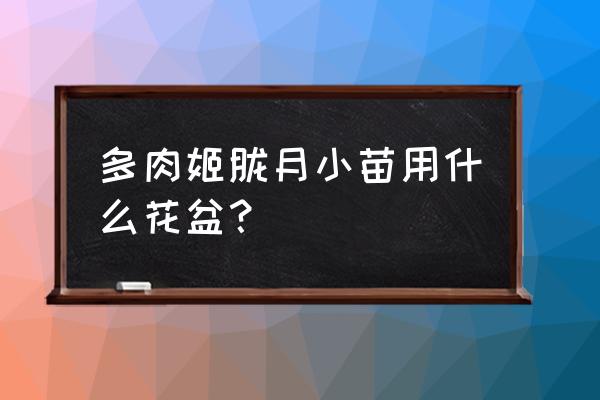 新手用什么花盆养多肉植物 多肉姬胧月小苗用什么花盆？