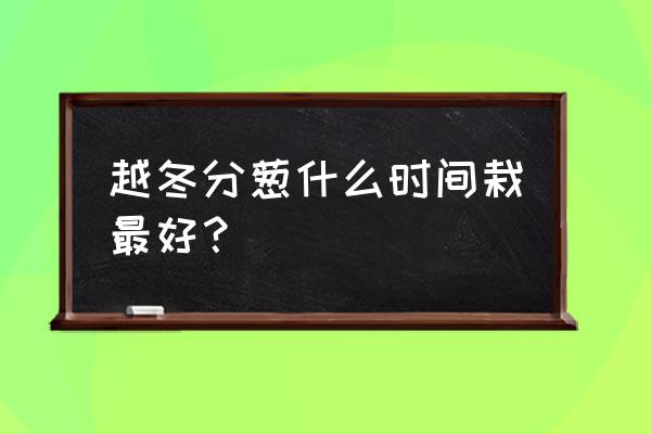 越冬的葱几月份种植技术 越冬分葱什么时间栽最好？