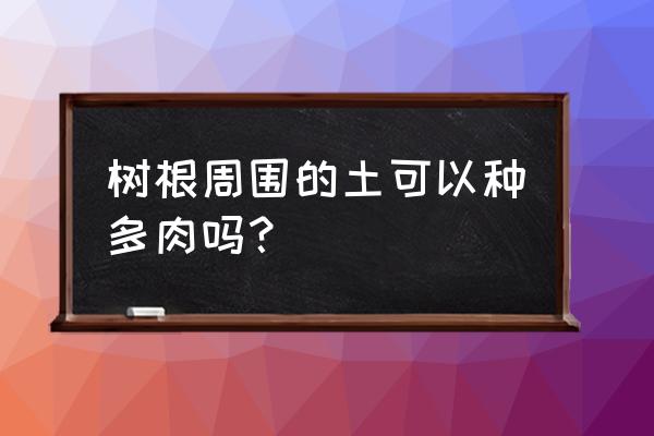 树根怎么种多肉植物 树根周围的土可以种多肉吗？