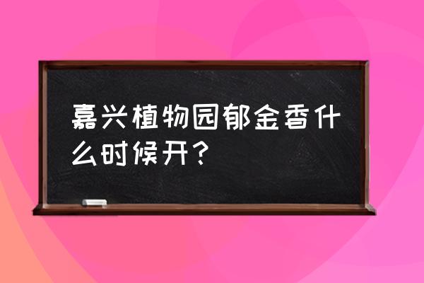 嘉兴植物园几月份好玩 嘉兴植物园郁金香什么时候开？