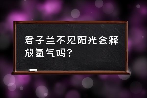 君子兰花净化空气吗 君子兰不见阳光会释放氧气吗？