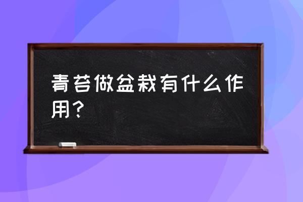 花盆上的青苔有什么作用 青苔做盆栽有什么作用？