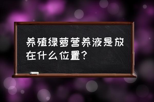 绿萝花盆带的营养液怎么用 养殖绿萝营养液是放在什么位置？