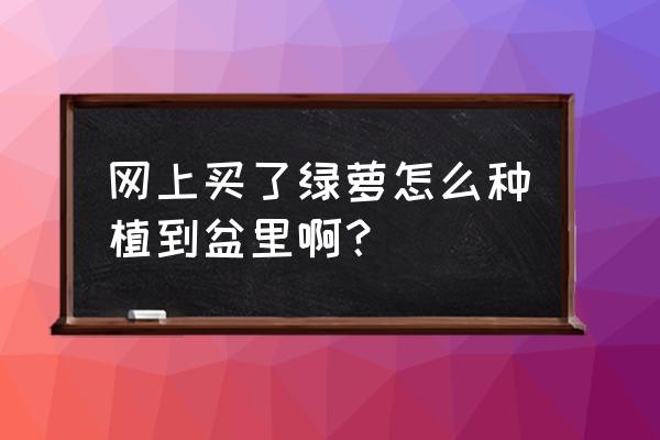 绿萝怎么在花盆里 网上买了绿萝怎么种植到盆里啊？