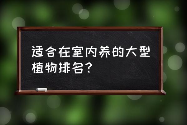 室内的大型植物吗 适合在室内养的大型植物排名？