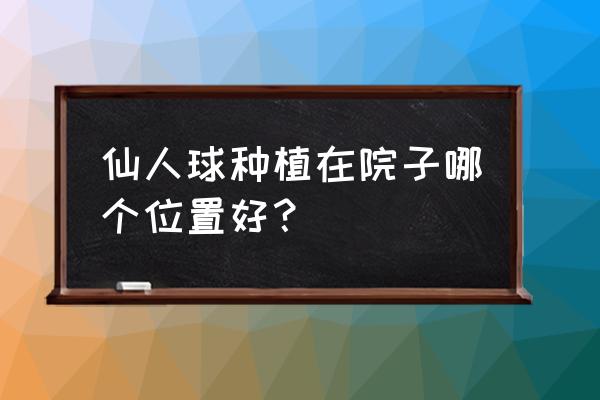 如果家里没有阳台仙人球放在哪里 仙人球种植在院子哪个位置好？