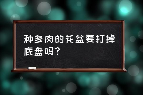 花盆底部要架空吗 种多肉的花盆要打掉底盘吗？