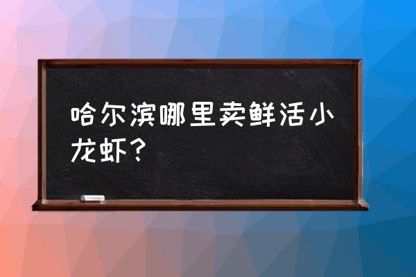 秘制道小龙虾有多少店 哈尔滨哪里卖鲜活小龙虾？