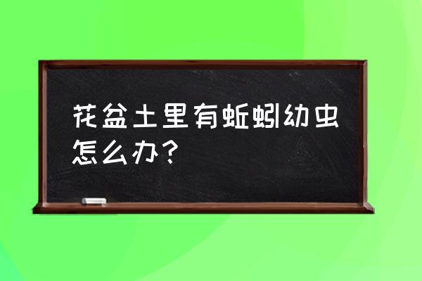 花盆有蚯蚓怎么灭 花盆土里有蚯蚓幼虫怎么办？