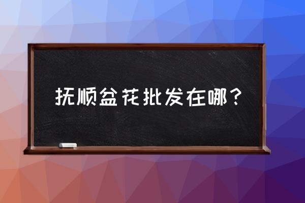 抚顺最大的鲜花批发市场在哪 抚顺盆花批发在哪？