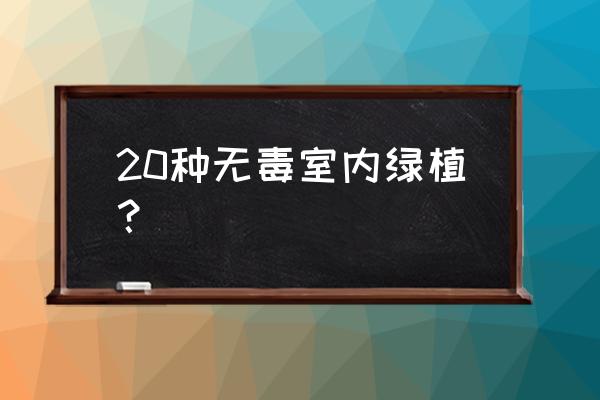 无毒的观叶花卉有哪些 20种无毒室内绿植？