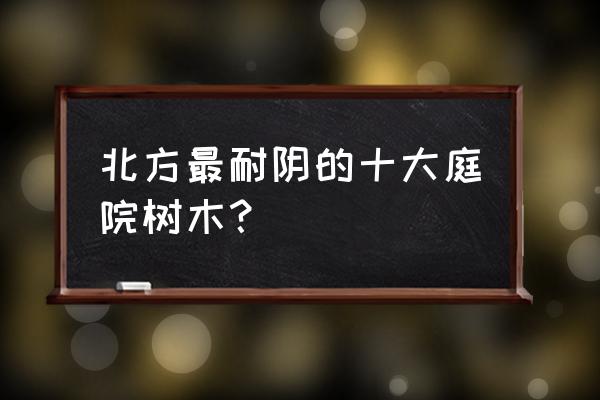 耐阴的小乔木有哪些 北方最耐阴的十大庭院树木？