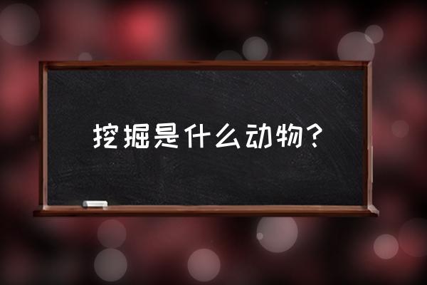 挖锄头是什么生肖 挖掘是什么动物？