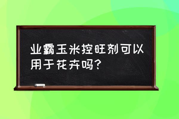 玉米用的叶面肥能不能给花用 业霸玉米控旺剂可以用于花卉吗？