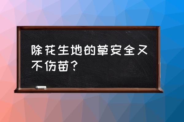 百草枯对花生发芽有影响吗 除花生地的草安全又不伤苗？