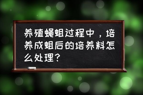 蝇蛆如何做高蛋白饲料 养殖蝇蛆过程中，培养成蛆后的培养料怎么处理？