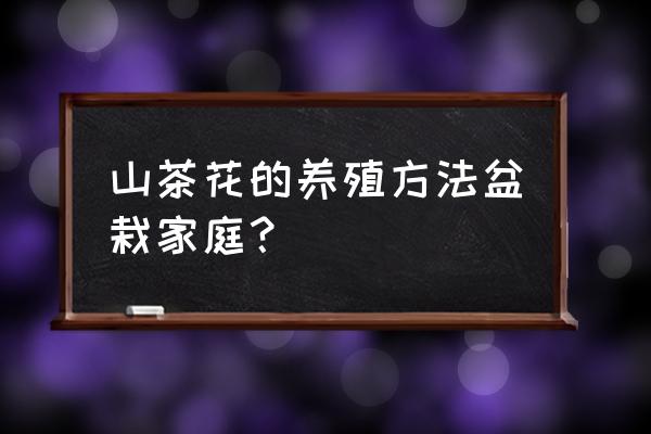 怎样管理茶花盆景树 山茶花的养殖方法盆栽家庭？