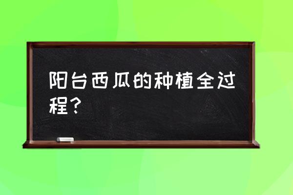 西瓜怎么盆栽种植 阳台西瓜的种植全过程？