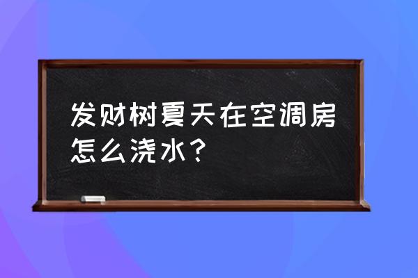 发财树夏季怎么浇水 发财树夏天在空调房怎么浇水？