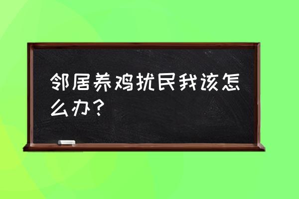 有人养鸡该怎么办 邻居养鸡扰民我该怎么办？