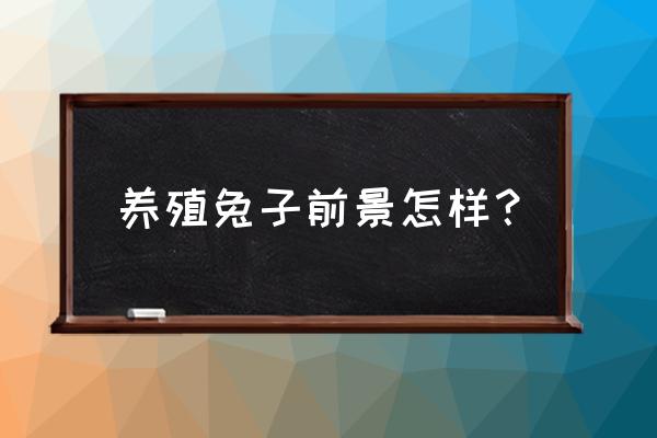 湖北恩施哪有养殖兔子的 养殖兔子前景怎样？